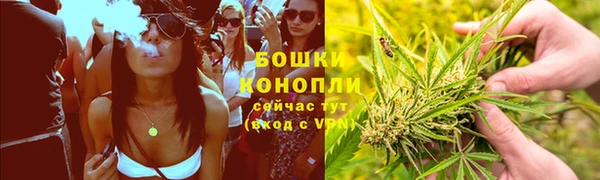 PSILOCYBIN Зерноград