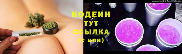 прущие крисы Корсаков