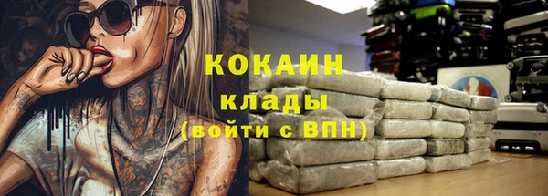 PSILOCYBIN Зерноград