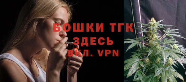 PSILOCYBIN Зерноград