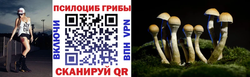 где продают наркотики  Кашин  Псилоцибиновые грибы прущие грибы 